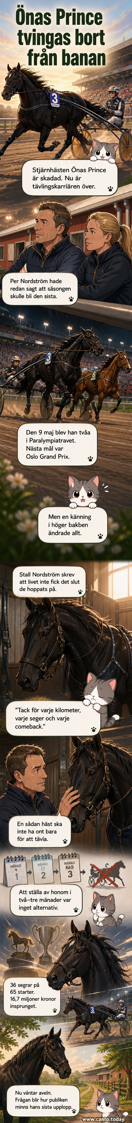 En svart och vit travhäst i full fart på en gräsplan, med publik i bakgrunden och tidtagarutrustning bredvid banan.