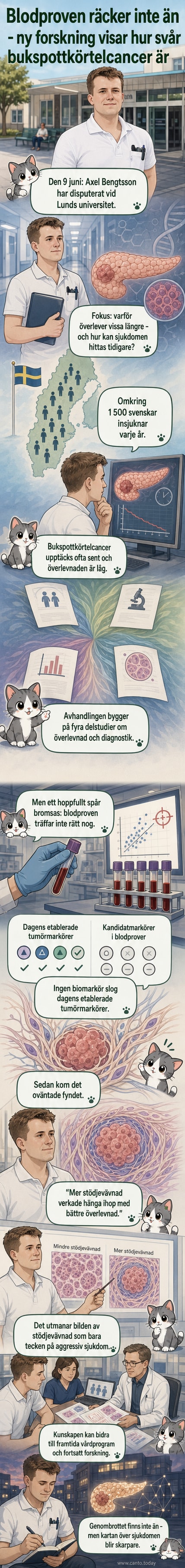 Illustration av en mikroskopisk vy av en bukspottkörteltumör med omgivande stödjevävnad, med förstorade cellstrukturer och färgkodade zoner för cancer- och normalvävnad.
