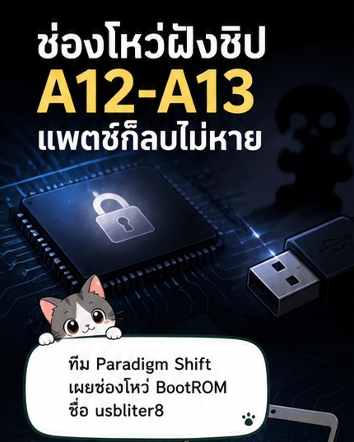 ภาพประกอบแสดงช่องโหว่ในชิป Apple A12 และ A13 ที่ถูกโจมตีผ่านพอร์ต USB โดยมีข้อมูลไหลเข้าสู่หน่วยความจำในระดับรากฐาน