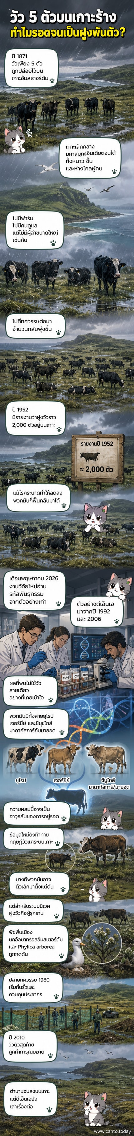 ภาพวาดฝูงวัวป่าบนเกาะอัมสเตอร์ดัมที่มีภูเขาและทะเลล้อมรอบ วัวมีลักษณะผสมระหว่างวัวยุโรปและวัวซีบู ยืนอยู่ท่ามกลางพืชพันธุ์ที่ถูกกินจนเหลือตอ