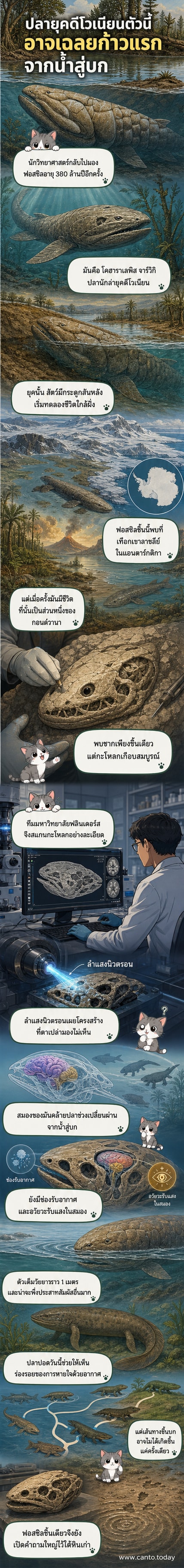 ภาพประกอบของโคฮาราเลพิส จาร์วิกิ ปลาโบราณยุคดีโวเนียนที่อาจเป็นหนึ่งในสายพันธุ์แรกที่เริ่มขึ้นบก พร้อมโครงร่างกะโหลกศีรษะที่ถูกสแกนด้วยนิวตรอน