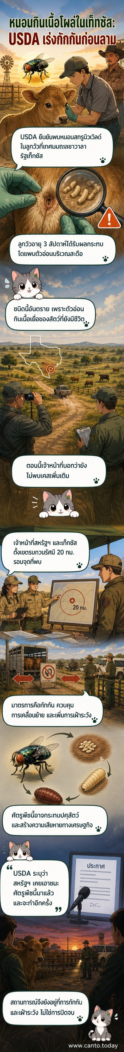 ภาพวาดประกอบแสดงลูกวัวที่มีอาการติดเชื้อจากหนอนพยาธิบริเวณสะดือ พร้อมเจ้าหน้าที่เกษตรกำลังตรวจสอบ