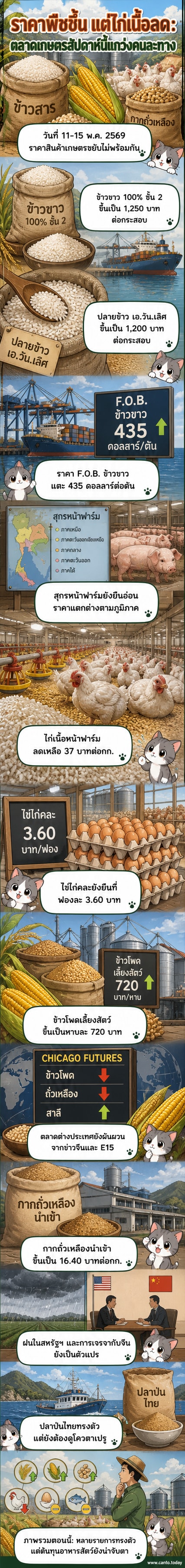 กราฟิกแสดงการเปลี่ยนแปลงราคาสินค้าเกษตรในประเทศไทยสัปดาห์นี้ รวมถึงข้าว ข้าวโพด ไก่เนื้อ และกากถั่วเหลือง