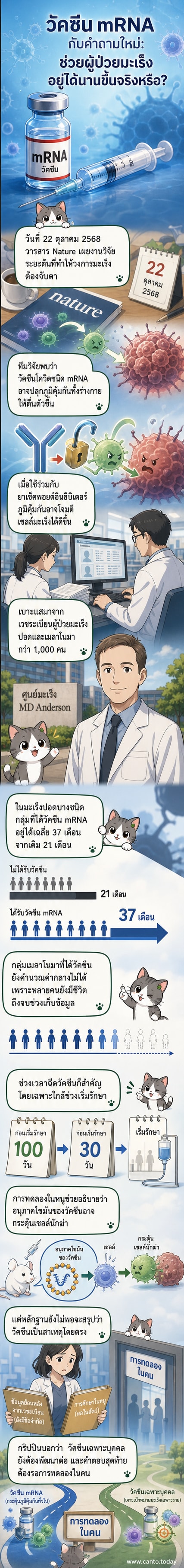 ภาพประกอบเว็บตูนข่าววิทยาศาสตร์ แสดงวัคซีน mRNA ที่เข้าสู่ร่างกายและกระตุ้นเซลล์ภูมิคุ้มกันให้โจมตีเซลล์มะเร็ง พร้อมกราฟิกไทม์ไลน์การรักษา