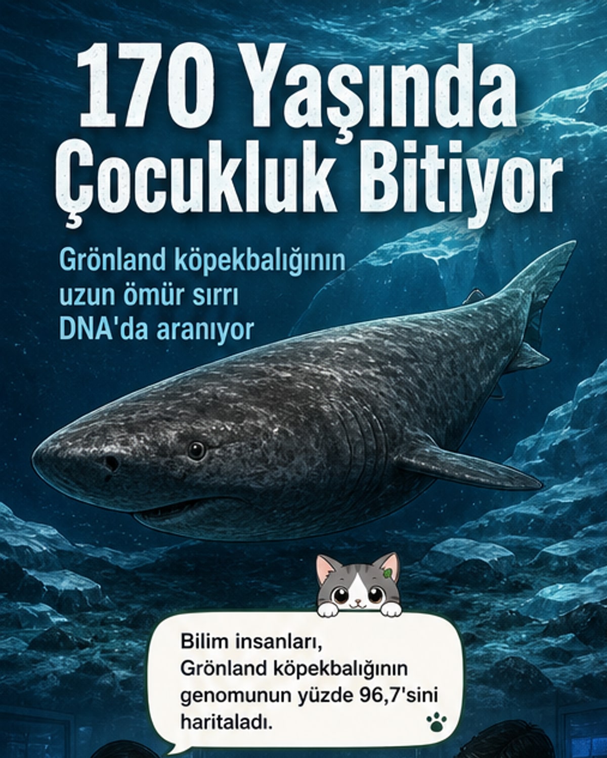 Grönland köpekbalığı buz altı okyanusta yüzerken, yaşını gösteren görsel bir zaman çizelgesiyle birlikte.