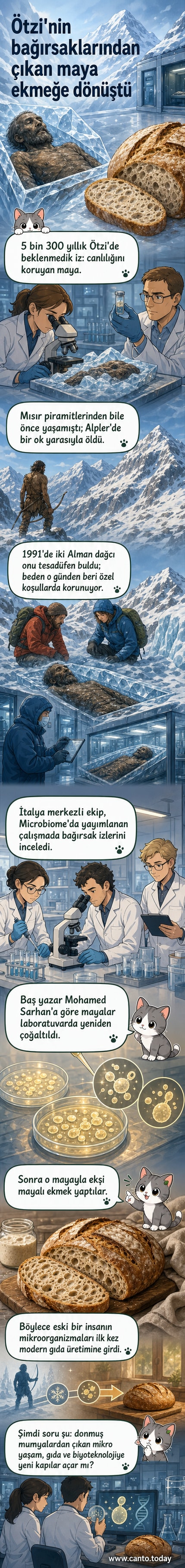 Bir laboratuvarda antik maya ile yapılan ekşi mayalı ekmek ve Ötzi Buz Adam'ın resmi yan yana gösteriliyor.