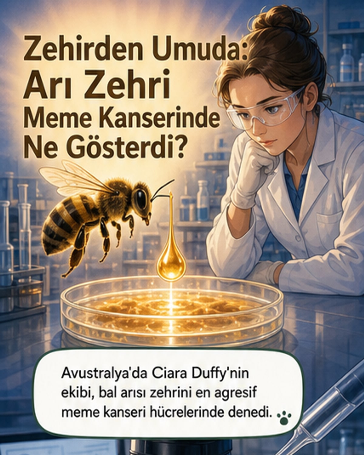 Arı zehri, agresif kanser hücrelerini hedef alıyor