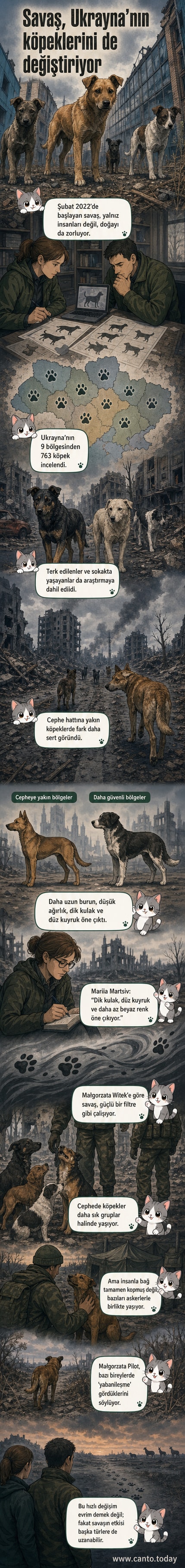 Ukrayna'da savaşın etkisiyle değişen sokak köpeklerinin, vahşi türlerle benzer özellikler kazandığını gösteren bir webtoon. Cephe hattında yaşayan köpeklerin fiziksel yapısı ve davranışları, güvenli bölgelerdekilerden ayrılıyor.