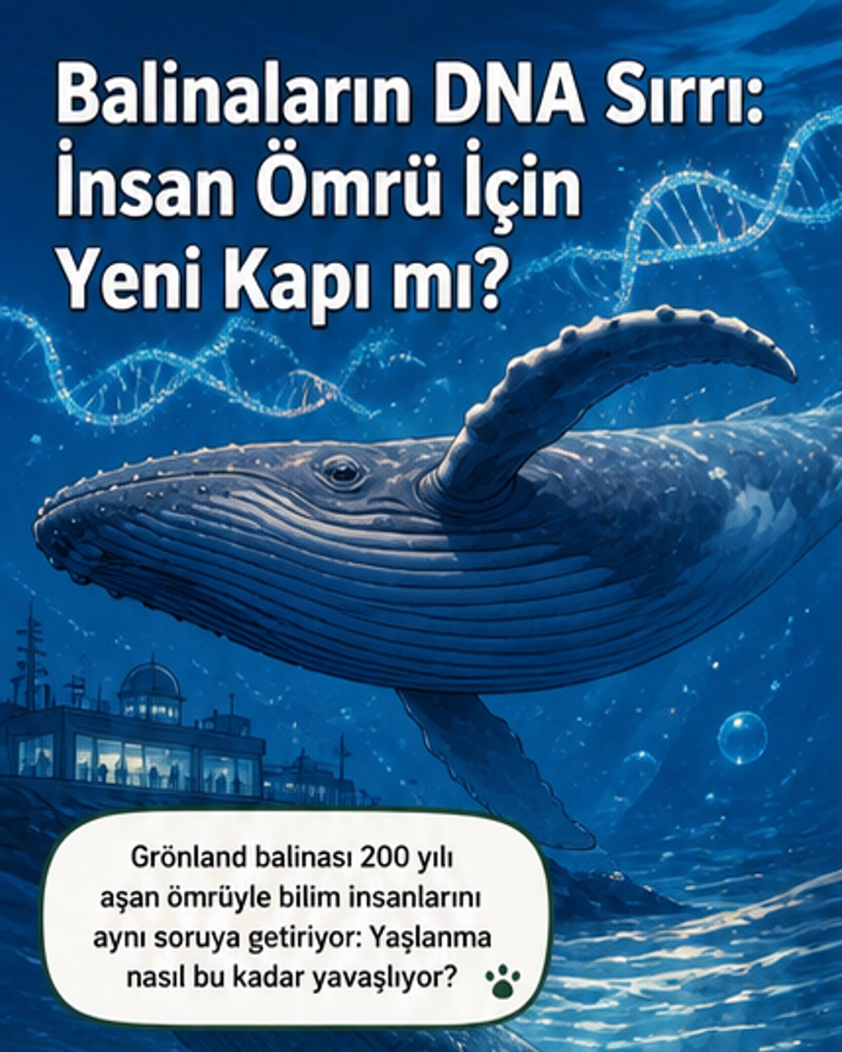 Balinaların genetik sırrı insan ömrünü uzatabilir