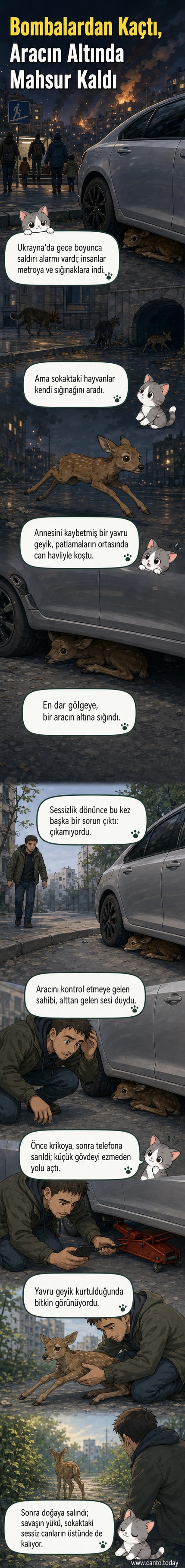 Yorgun bir yavru geyik, bir aracın altından kroki kullanılarak dikkatle çıkarılıyor.