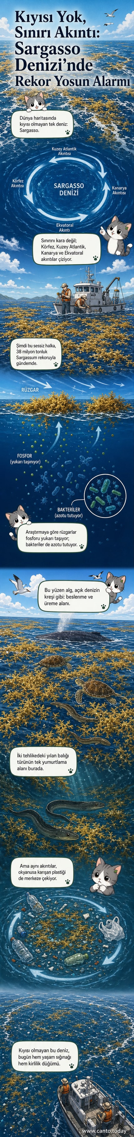 Sargasso Denizi'nde yoğun yeşil yosun tabakası ve yüzeyde dalgalarla biriken plastik atıklar, uzaktan çekilmiş bir uydu görüntüsünde görülüyor.