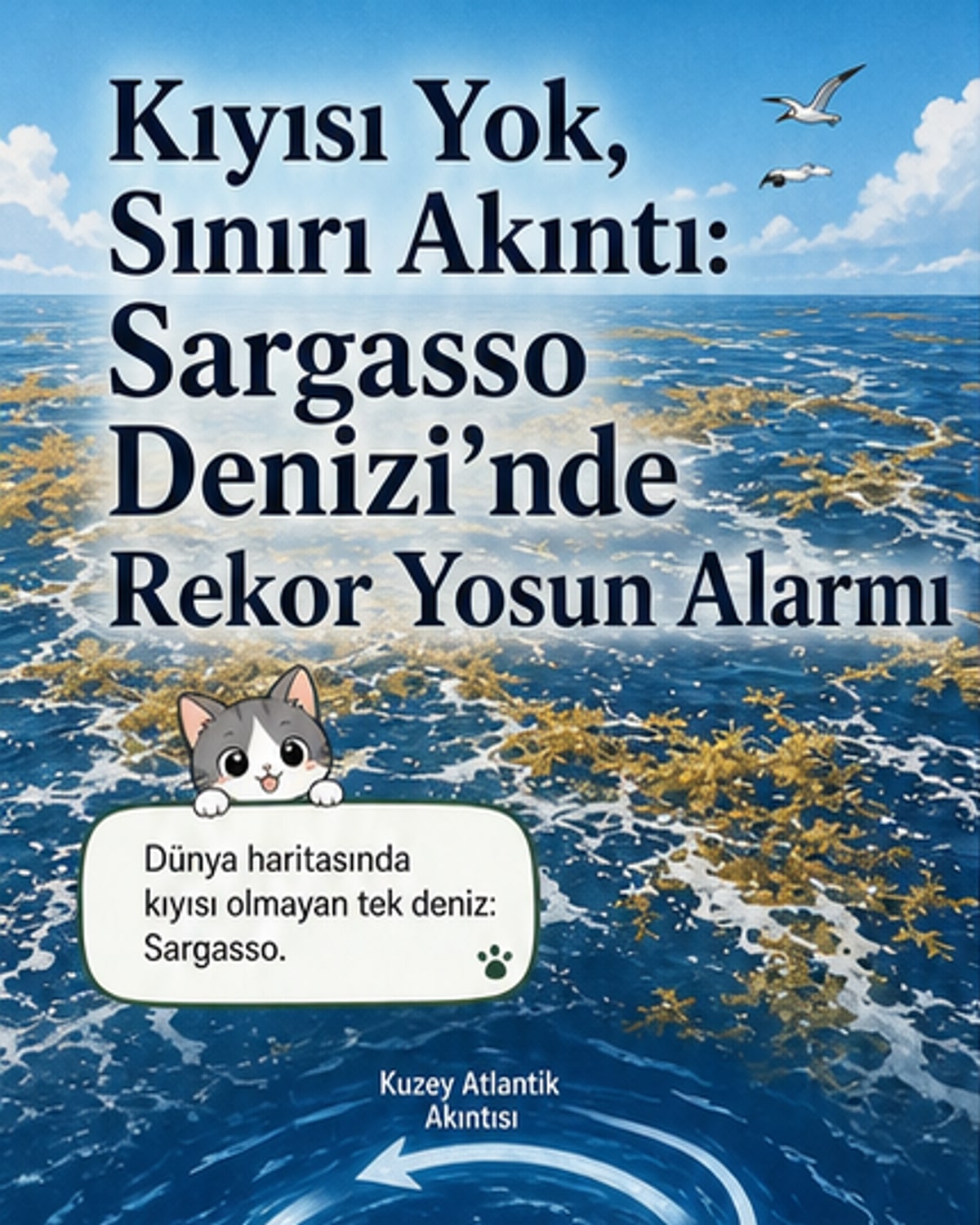 Kıyısı olmayan tek denizde rekor biyokütle