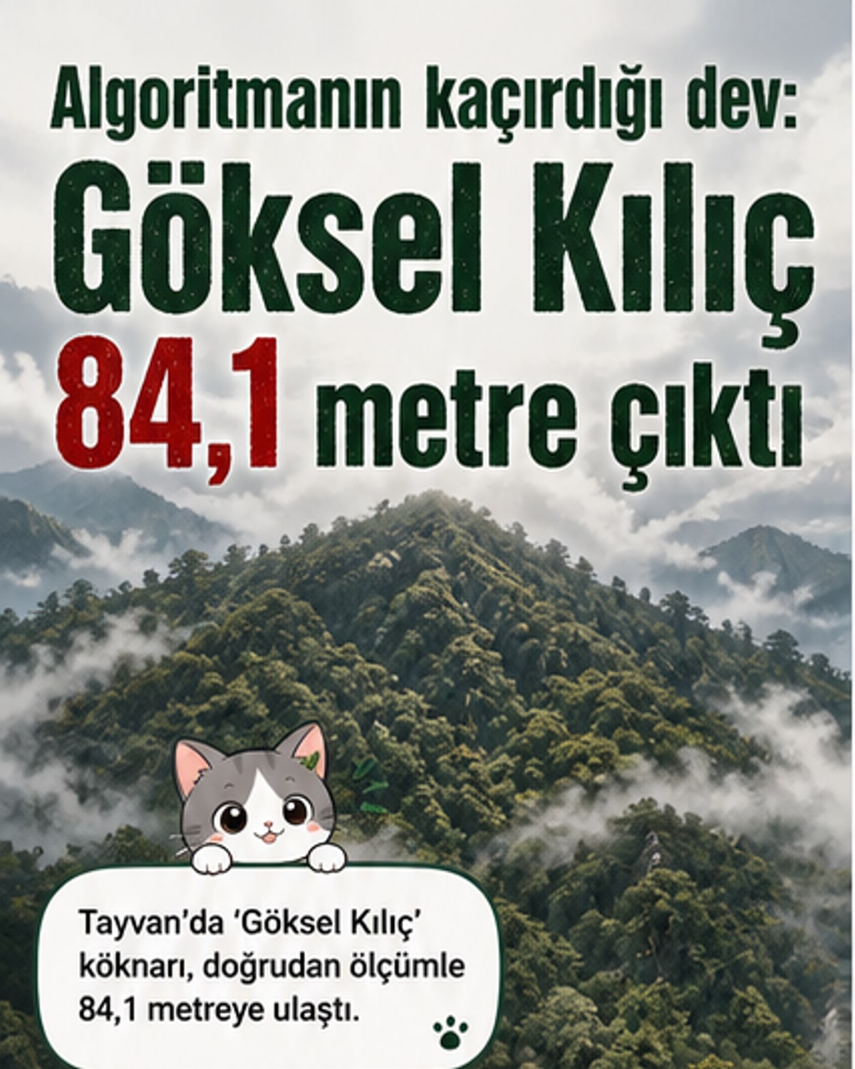 Dünyanın en yüksek ağacı bulundu