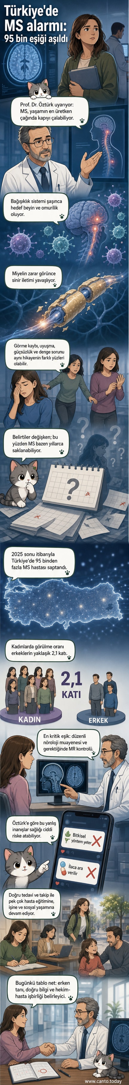 Beyin ve omurilikte miyelin kılıfının hasar gördüğü çoklu skleroz (MS) hastalığına dair bilimsel bir görsel. Kadın ve erkek oranları karşılaştırılıyor.