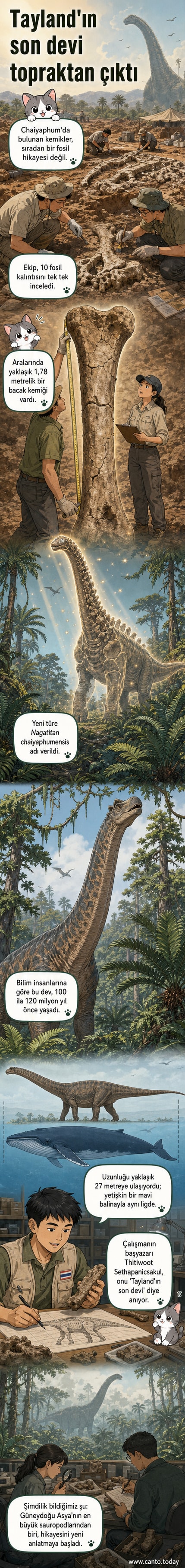 Tayland'da keşfedilen 'Nagatitan chaiyaphumensis' adlı dev uzun boyunlu dinozorun sanatçı yorumu. Ormanlık bir arka planda, mavi balina büyüklüğünde bir yapıyla karşılaştırılıyor.