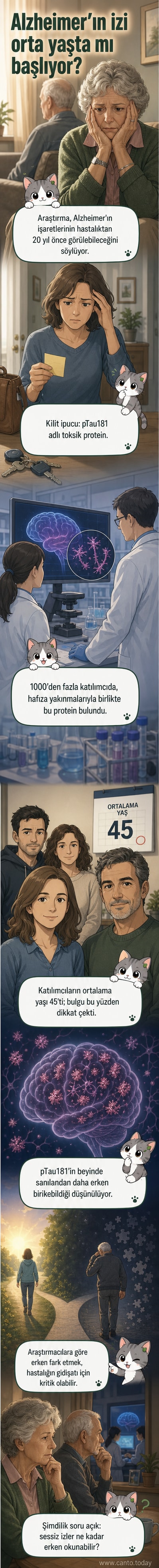 Orta yaşlı bir kişinin beyin taraması üzerinde pTau181 proteini birikimiyle işaretlenmiş alanlar gösteriliyor