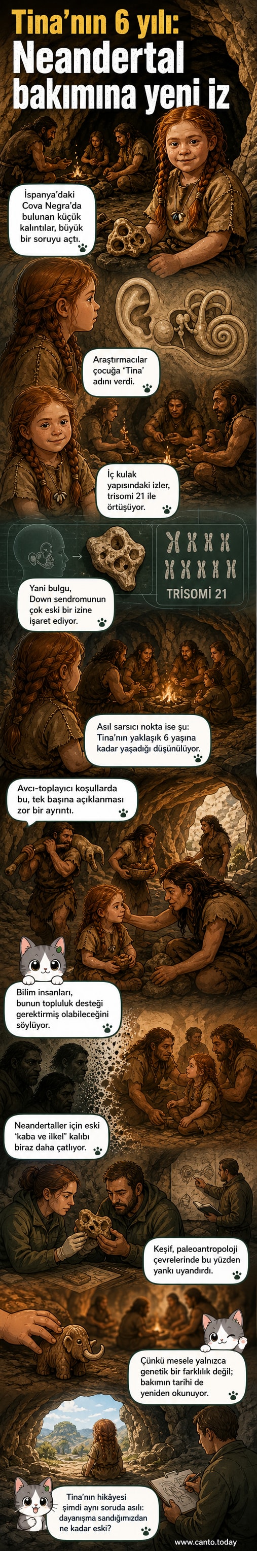 İspanya'daki bir mağarada bulunan Down sendromlu Neandertal çocuğunun iskelet kalıntılarını gösteren bilimsel bir illüstrasyon