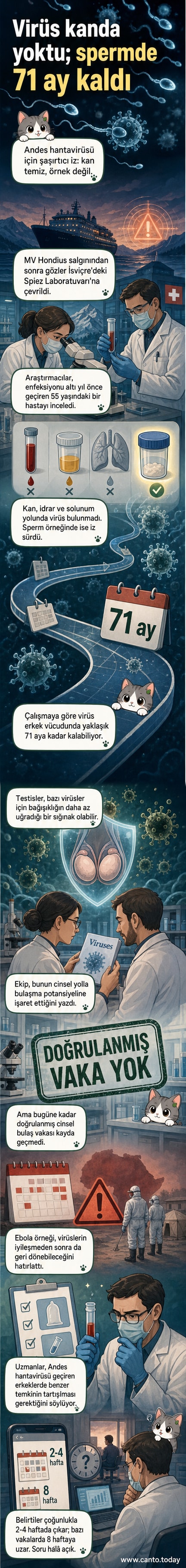 Bilim insanları, Andes hantavirüsünün erkeklerin sperm hücrelerinde uzun yıllar saklanabileceğini gösteren bir webtoon haber.