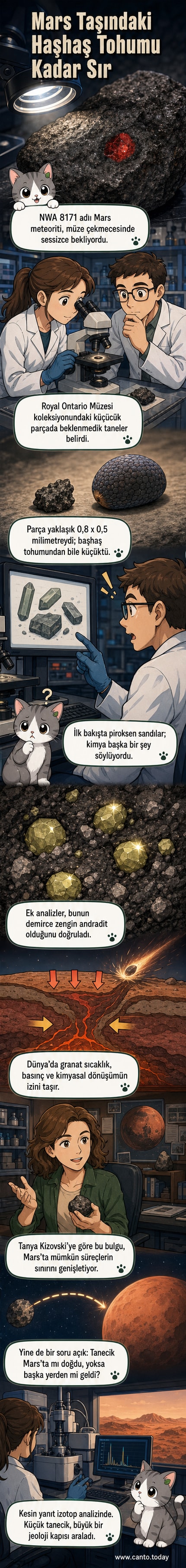 Mars'tan gelen bir meteorit parçasında sarımsı-yeşil tonlara sahip andradit minerali tespit edildi.