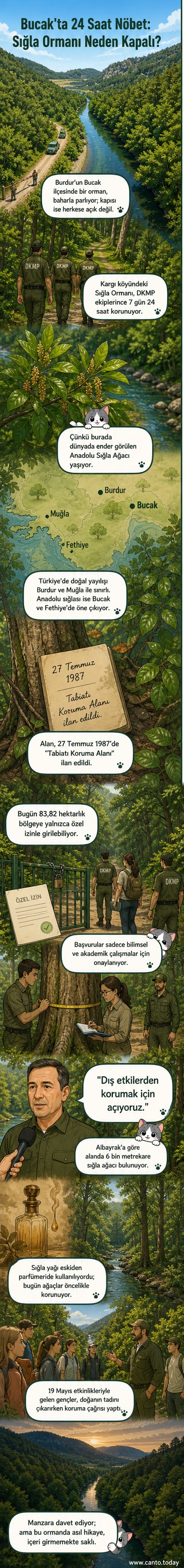 Yüksekten çekilmiş drone görüntüsünde, yeşilliklerle kaplı Sığla Ormanı ve etrafındaki dağlık arazi görülüyor. Orman, yoğun bir şekilde ağaçlarla kaplı ve doğal bir havaya sahip.