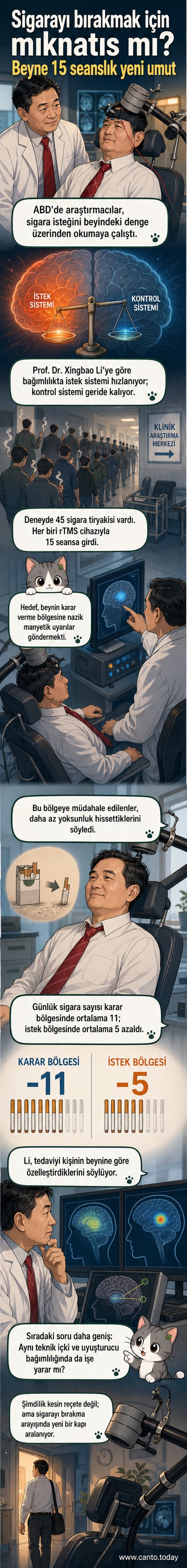 Beyin şeması üzerinde manyetik dalgalarla hedeflenen bölgeler gösteriliyor, sigara bırakma çalışmasının görsel özeti