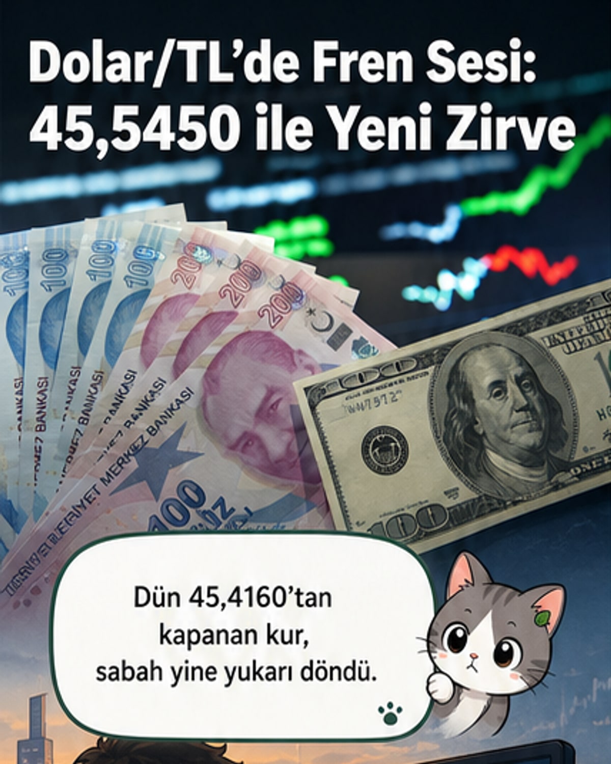 Dolar/TL tarihi zirve yaptı