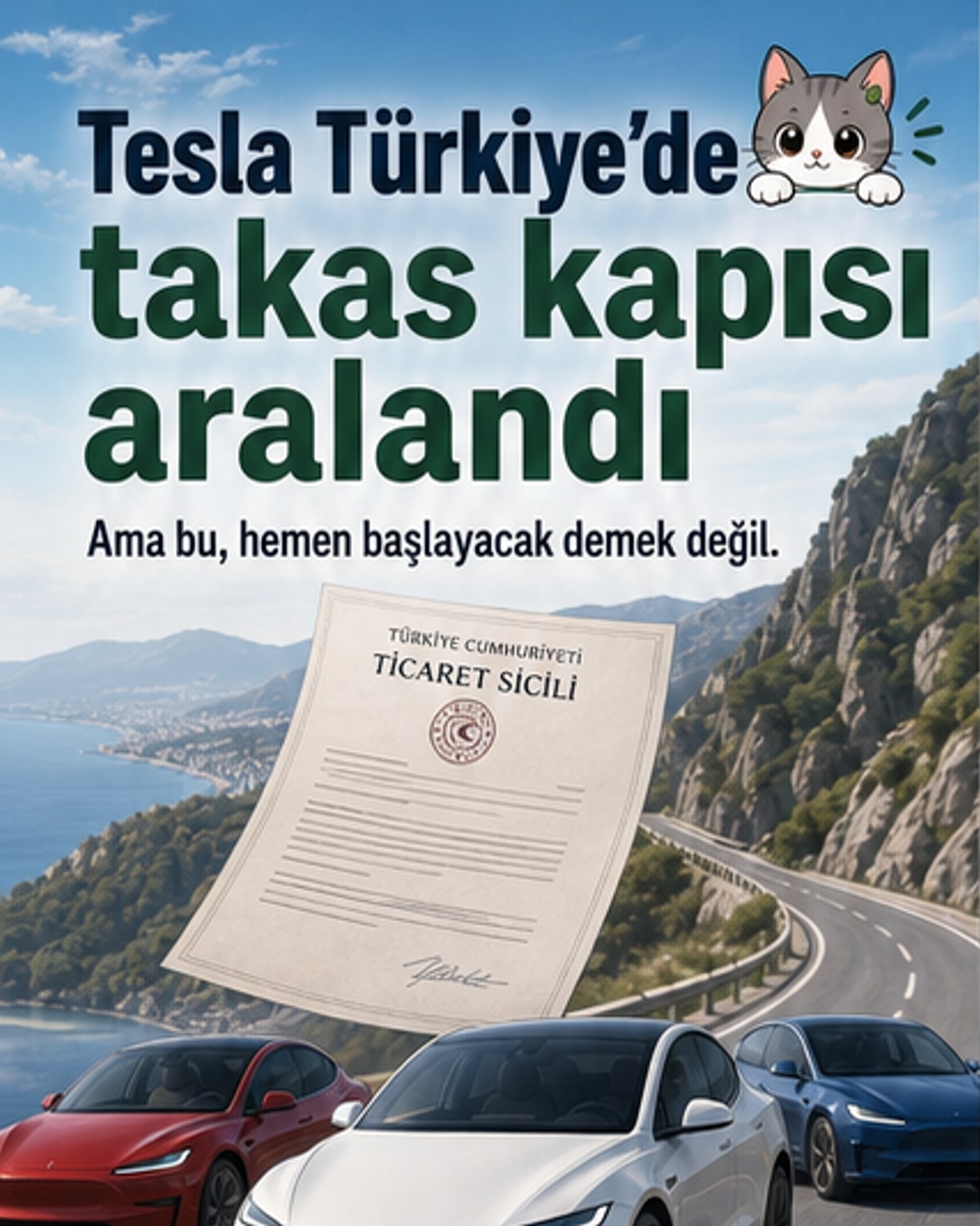 Tesla Türkiye'de takas sistemi için yol haritası çizdi
