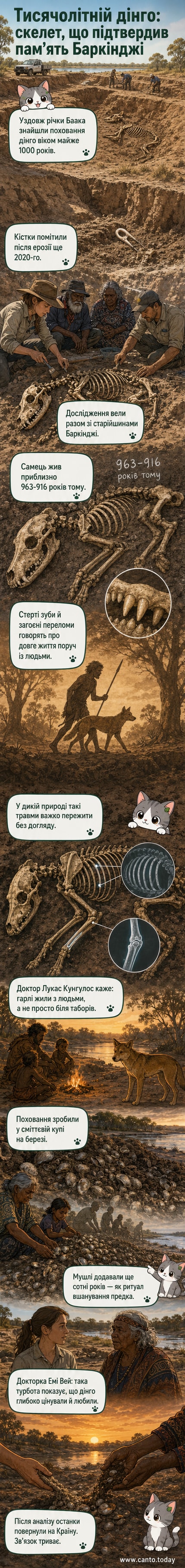 Фотографія скелету дінго, частково відкритого в землі, зроблена під час розкопок уздовж річки Баака в Австралії.