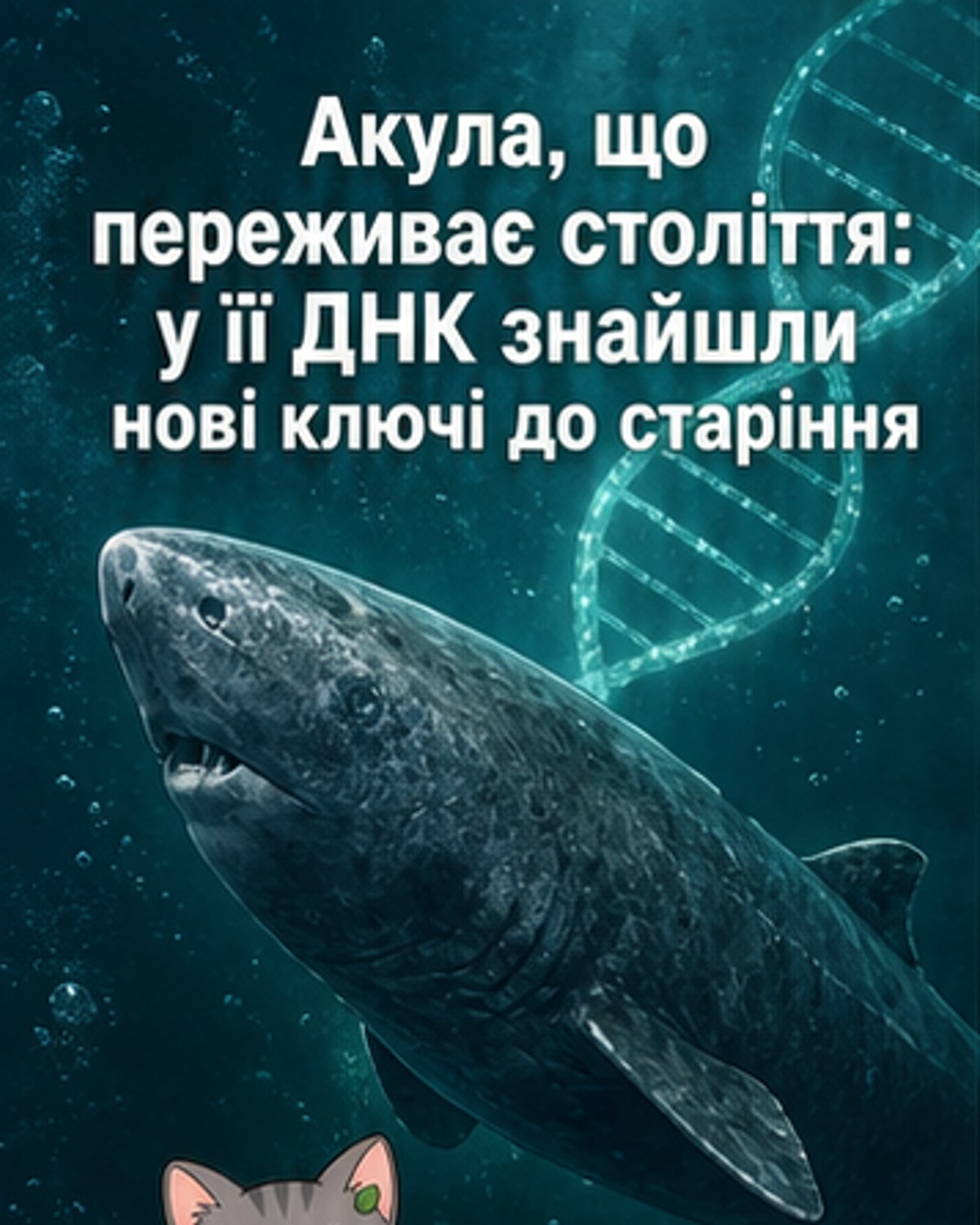 Як гренландська акула живе 400 років?