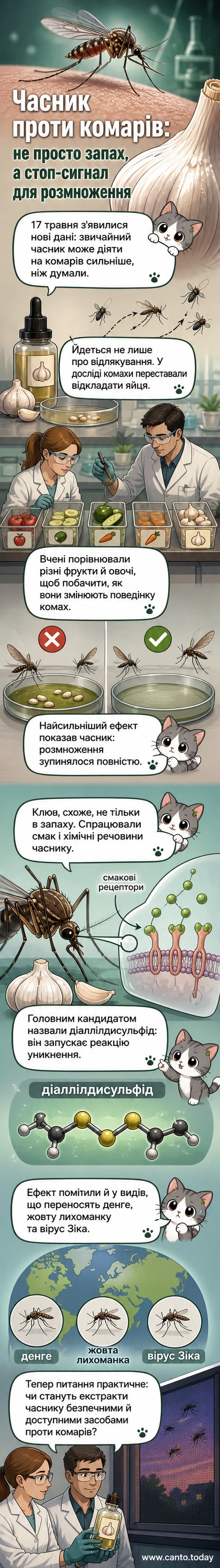 Ілюстрація: комарі відлітають від зубчика часнику, з якого виходить хмара молекул діаллілдисульфіду