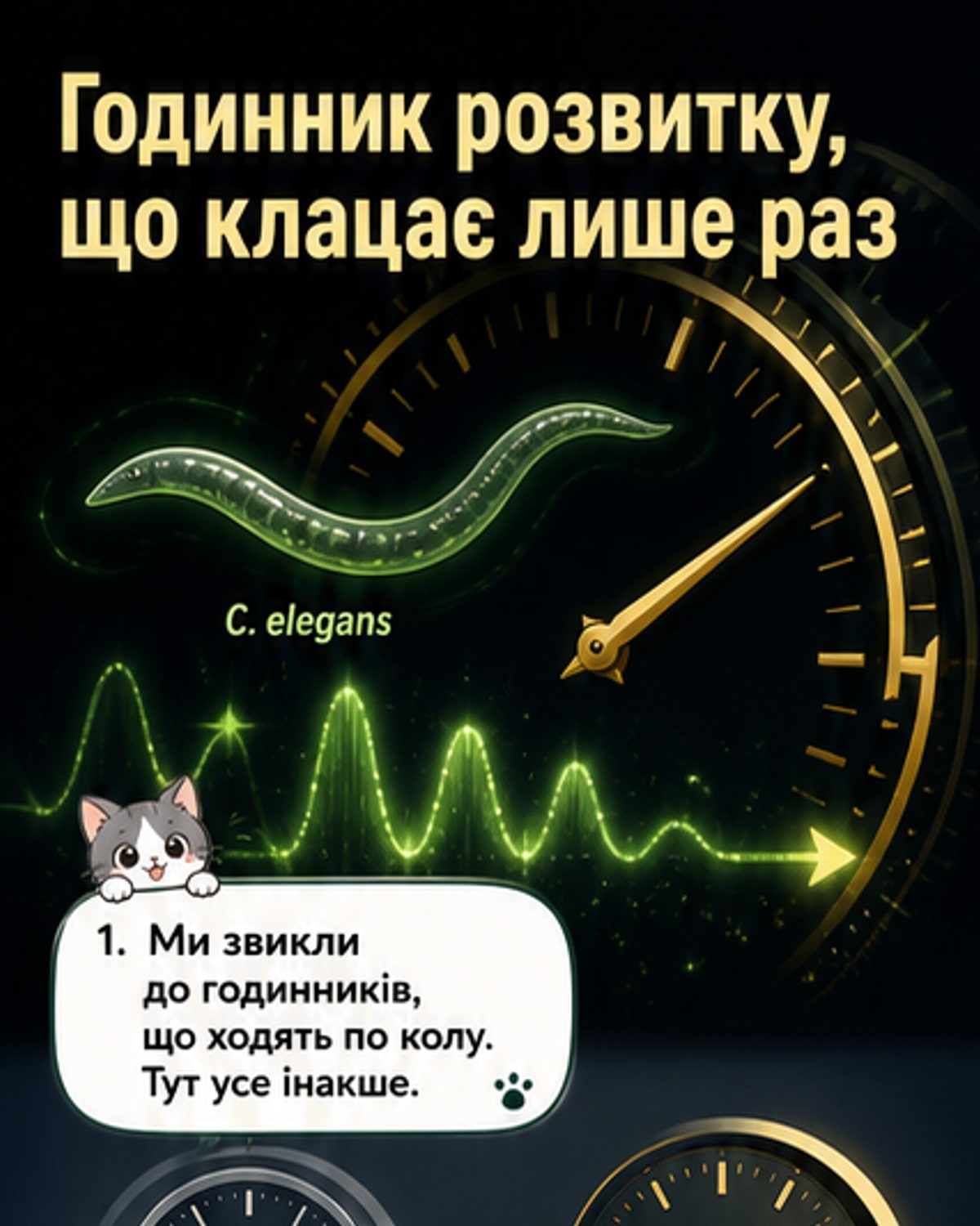 Годинник, що не тикає по колу
