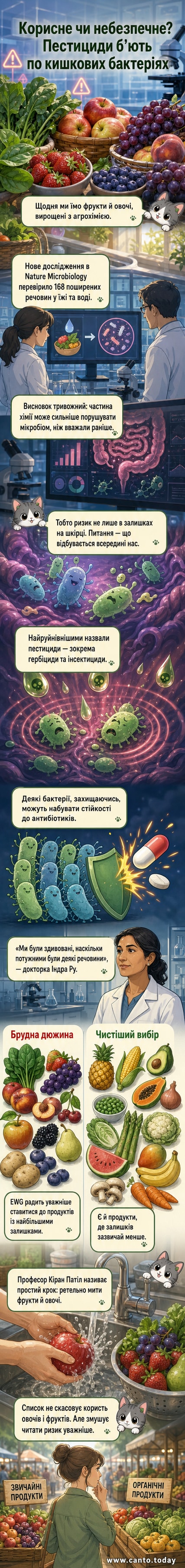 Ілюстрація до вебтуну: шпинат, кале і полуниця з позначками забруднення пестицидами на тлі кишкових бактерій