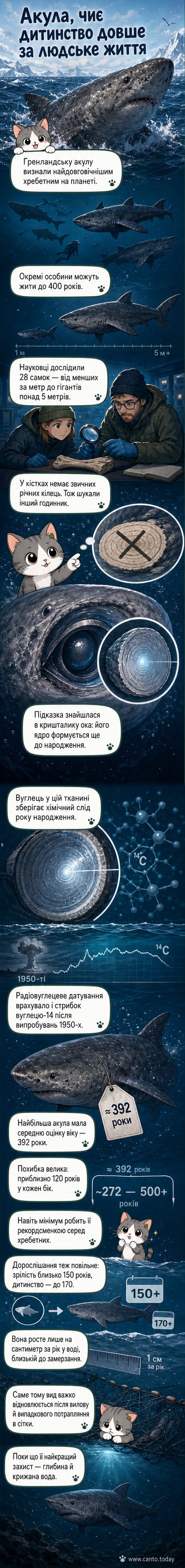 Гренландська акула пливе в темних, ледве освітлених водах Північної Атлантики, її силует видноє на тлі снігових підводних пейзажів