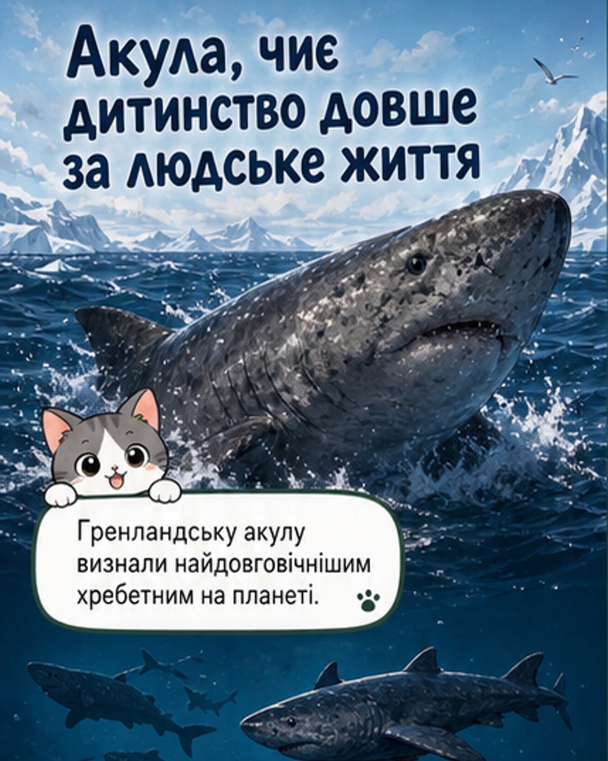Акула, яка дозріває через 170 років