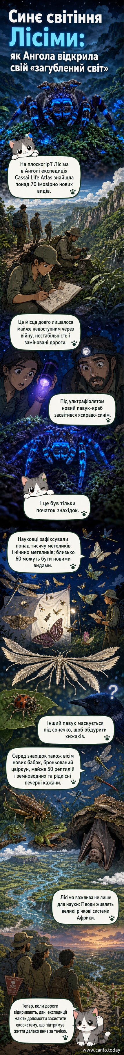 Ілюстрація: флуоресцентний павук-краб під ультрафіолетом, метелик із крилами як у птаха, і біологи на фоні тропічного плато в Анголі