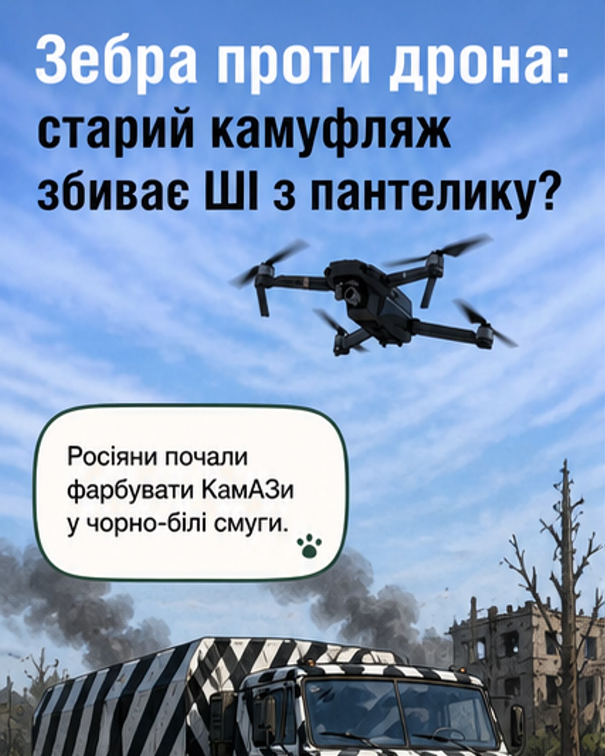 Як «зебровий» камуфляж дезорієнтує дрони