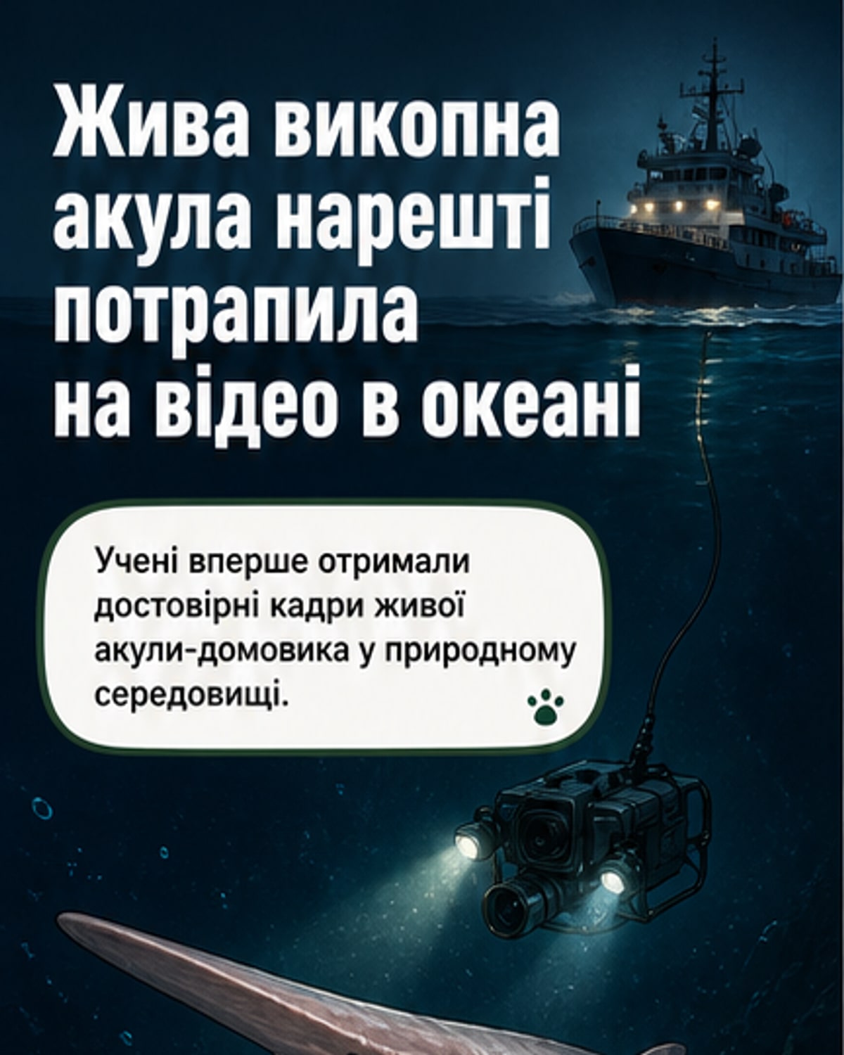 Уперше зняли живу акулу-гобліна