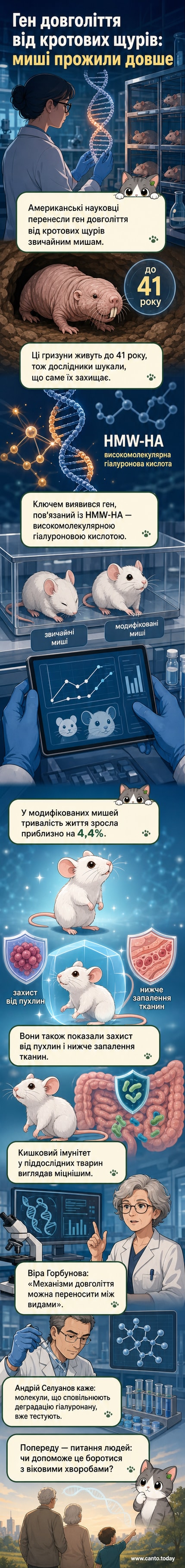 Ілюстрація двох мишей: одна здорова й активна, інша — похила. На задньому плані — схема ДНК із підсвіченим геном гіалуронової кислоти.