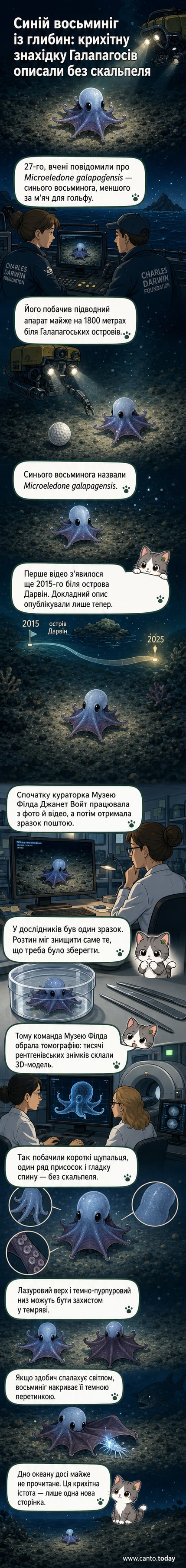 Маленький синій восьминог на темному дні океану, зображений у натуральних кольорах, з темно-пурпурним черевцем, підводна ілюстрація