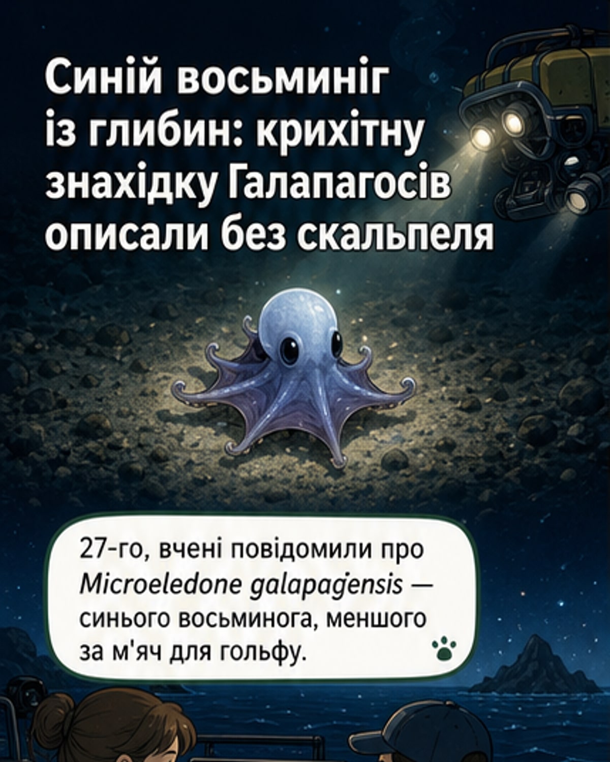 Виявлено синього восьминога з Галапагос