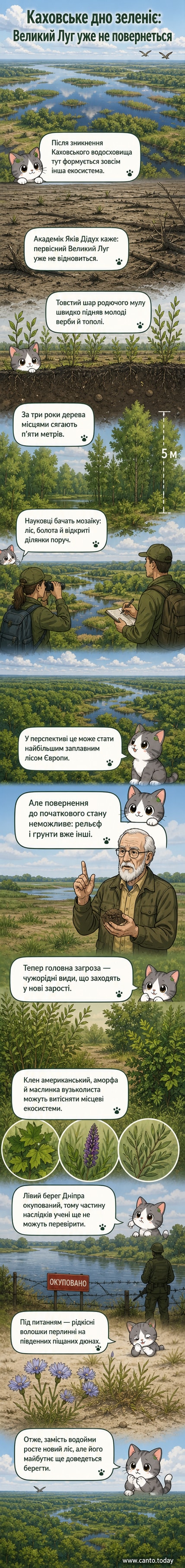 Ілюстрація: на місці колишнього Каховського водосховища росте густий ліс, на тлі — архівне фото Великого Лугу