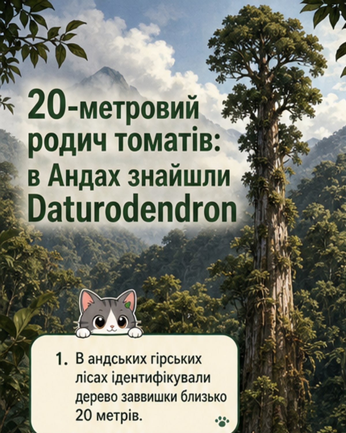 20-метрове дерево — родич картоплі