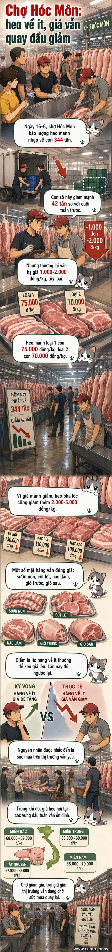 Biểu đồ giá heo hơi tại các chợ đầu mối và trang trại, với mũi tên giảm tại TP.HCM bất chấp nguồn cung thu hẹp