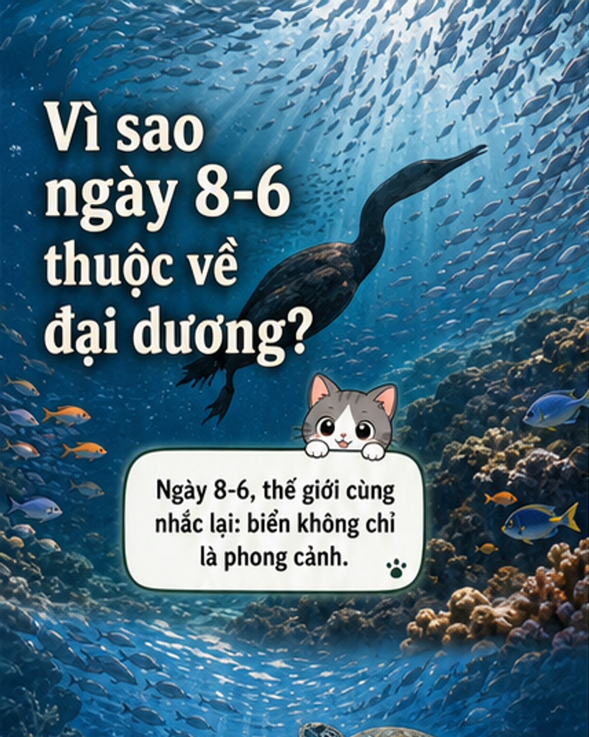 Vì sao có Ngày Đại dương thế giới?