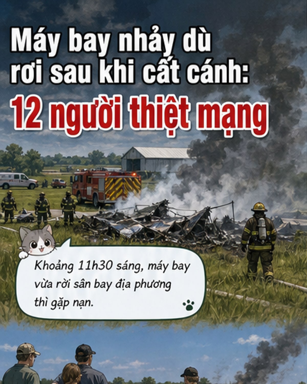 Máy bay nhảy dù rơi ở Mỹ, 12 người chết