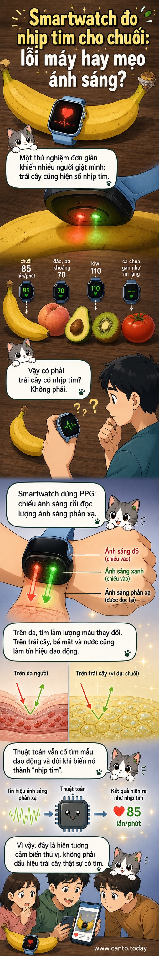 Hình minh họa một chiếc smartwatch được đeo quanh quả chuối và quả kiwi, với các chỉ số nhịp tim hiển thị trên màn hình.