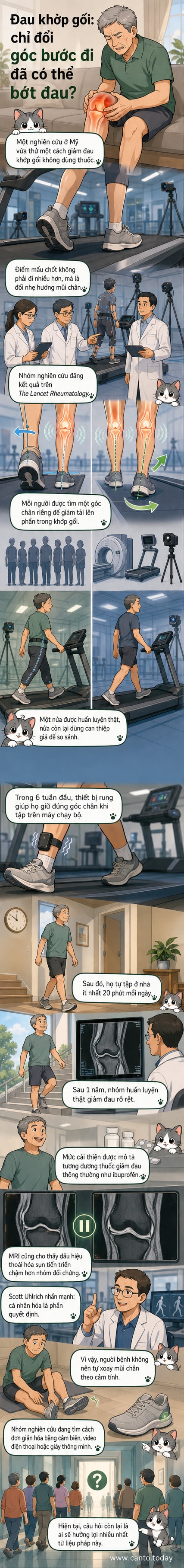 Hình ảnh minh họa một người đang đi bộ với góc chân được điều chỉnh, giảm áp lực lên đầu gối, kèm mô phỏng MRI sụn khớp