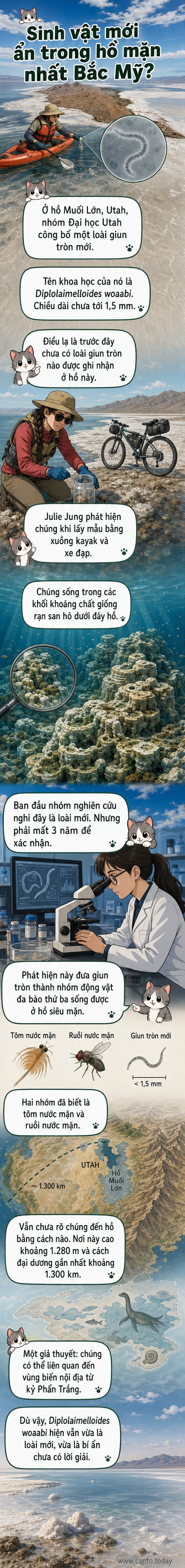 Minh họa sinh vật giun tròn nhỏ bé Diplolaimelloides woaabi sống trong cấu trúc khoáng chất dưới nước mặn ở hồ Muối Lớn, Utah.