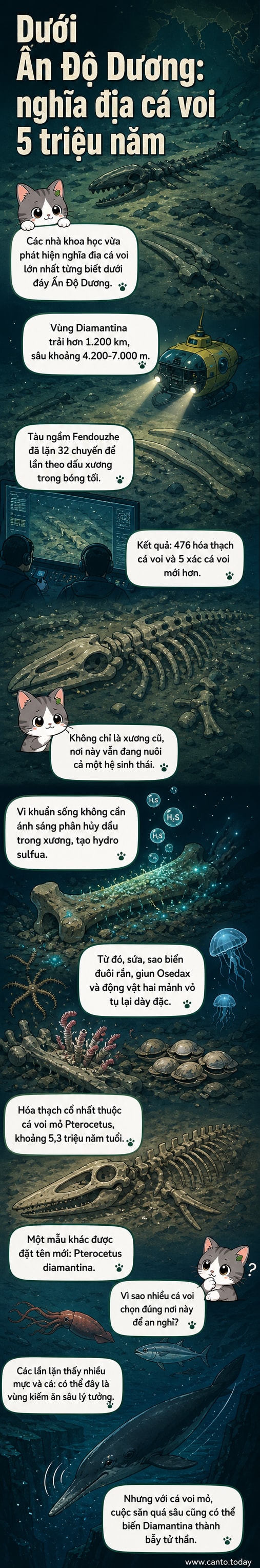 Minh họa đáy Ấn Độ Dương với hàng loạt bộ xương cá voi và sinh vật lạ bao quanh, dưới độ sâu hàng nghìn mét