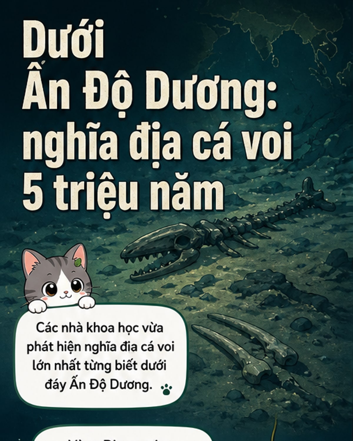 Phát hiện nghĩa địa cá voi lớn nhất thế giới